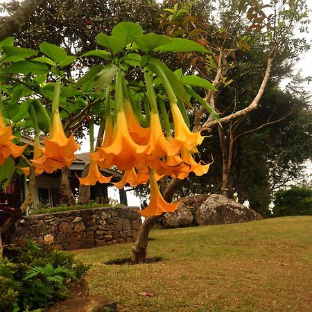 Clouds Holiday Bungalow Haputale Bagian luar foto