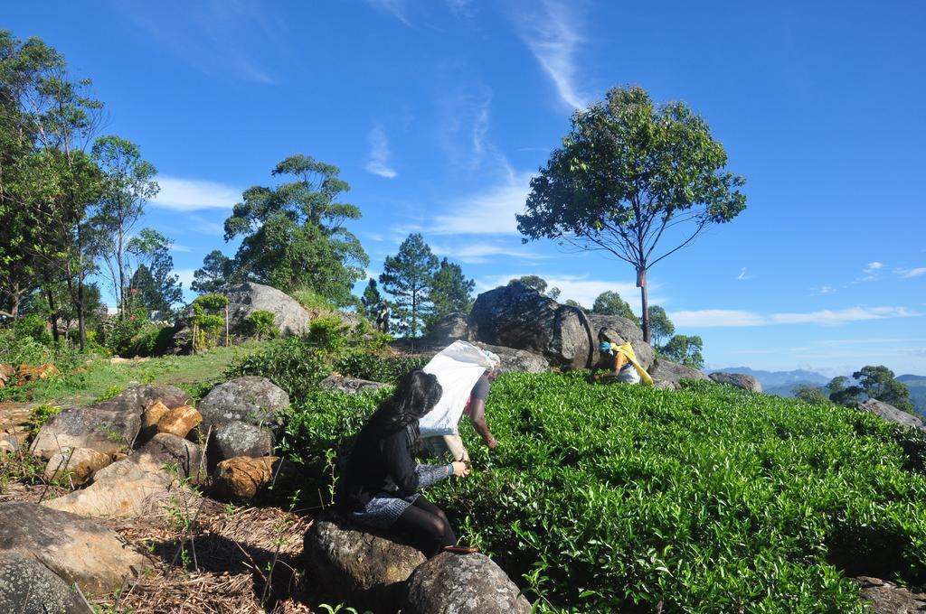 Clouds Holiday Bungalow Haputale Bagian luar foto